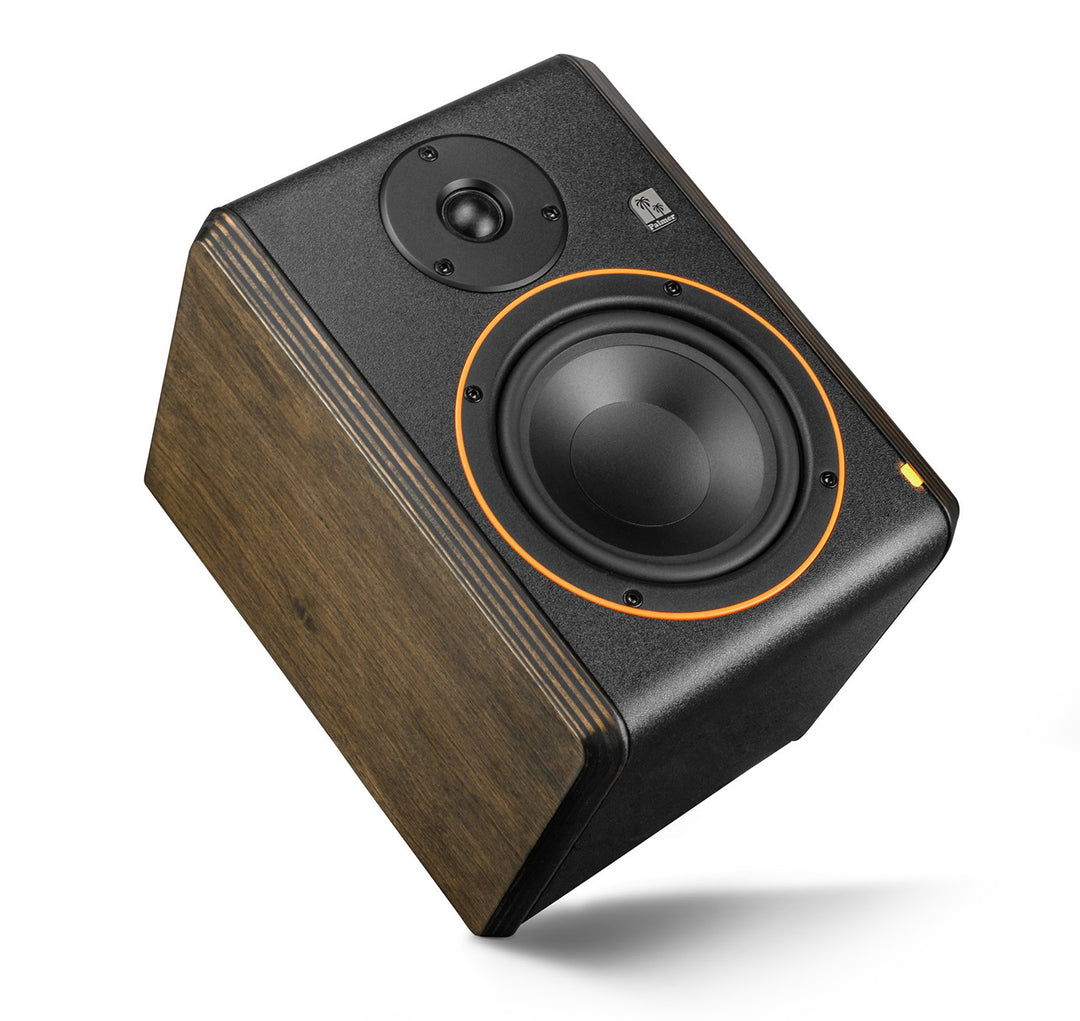 Palmer STUDIMON 5 - Monitor de estudio