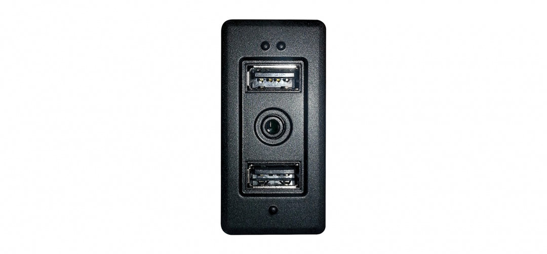 Pioneer CA-IW-VAG.002V Toma de Entrada USB/AUX