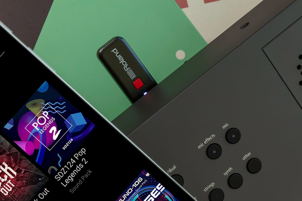 Roland GO:KEYS 5 Keyboard (White)