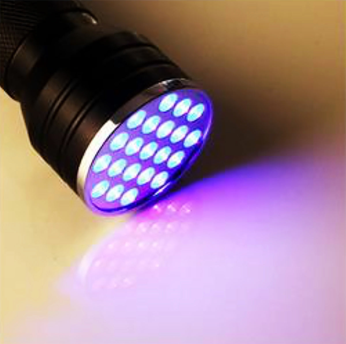 UV Linterna con 21 LED Diodos