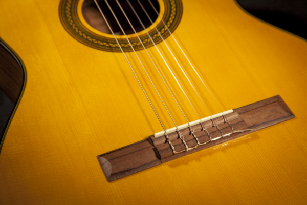 Takamine GC1C1CE-Night Classic Spanish Guitar (Nature)
