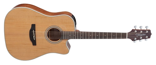 Takamine GD20CE-NS Western Guitar (Natural)