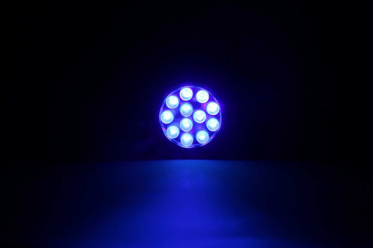 UV Flashlight