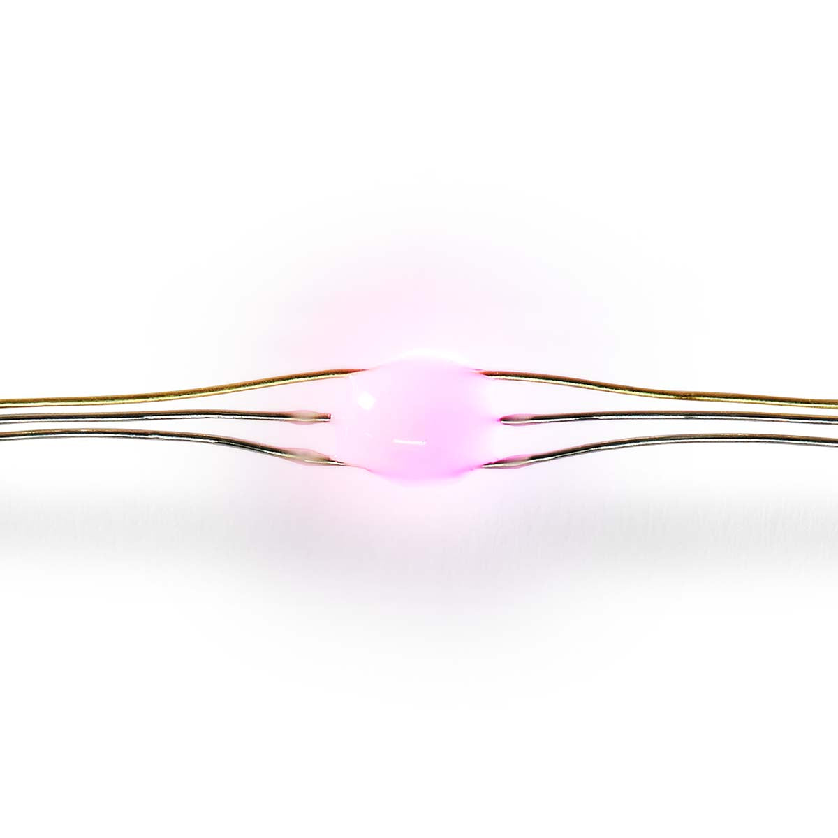 SmartLife LED Strip | Wi-Fi | Multicolour | SMD | 5.00 m | IP20 | 2700 - 6500 K | 400 lm | Android / iOS