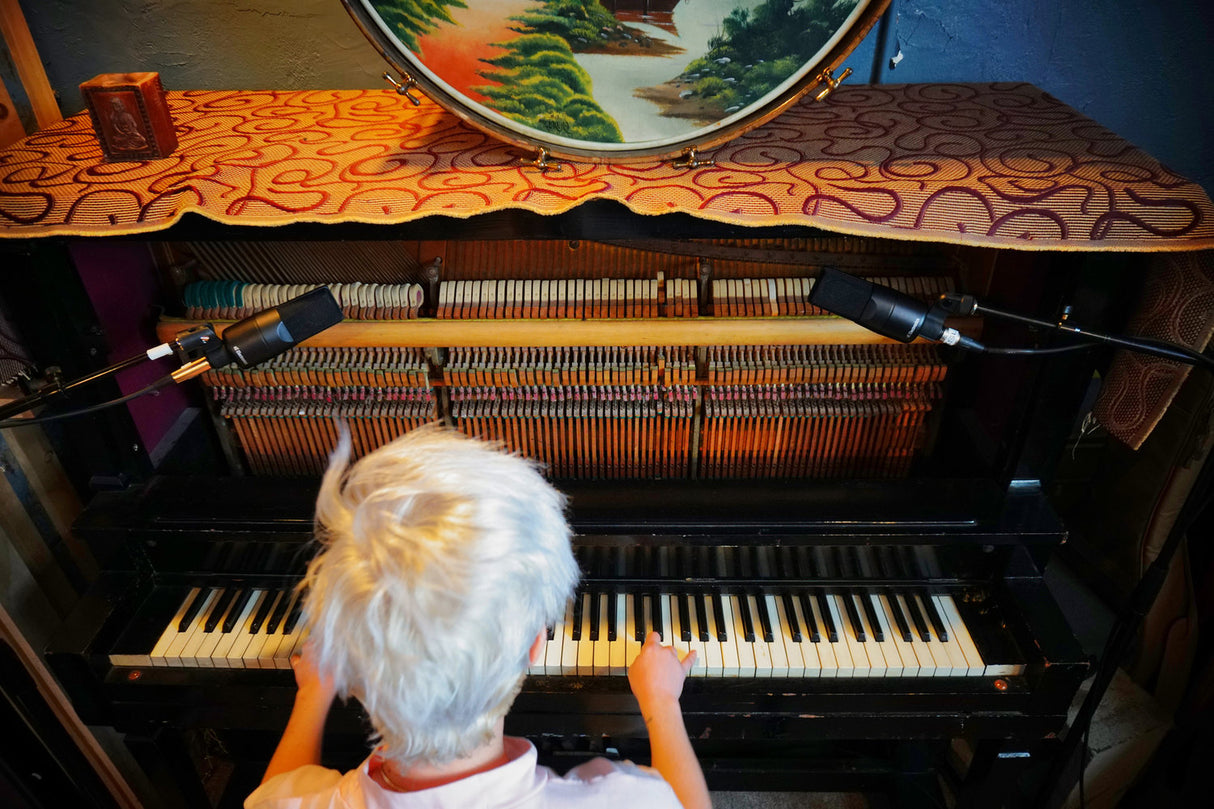 sE Electronics Micrófono de estudio X1S de condensador