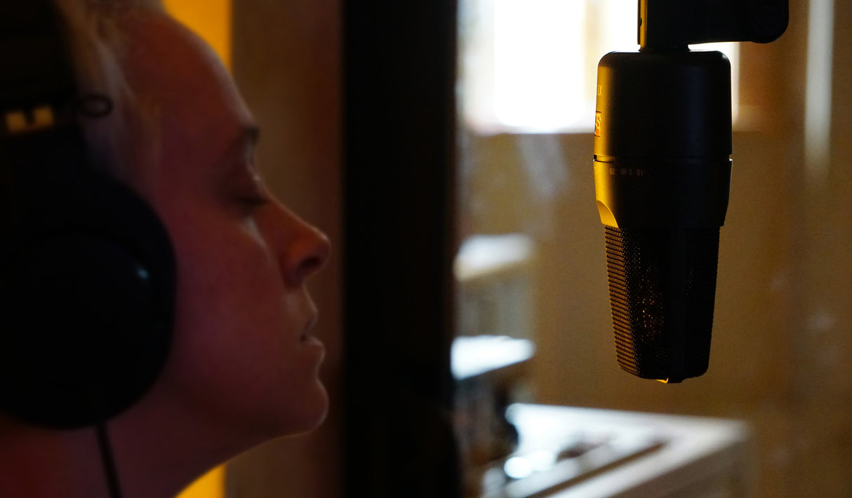 sE Electronics X1S condenser microphone