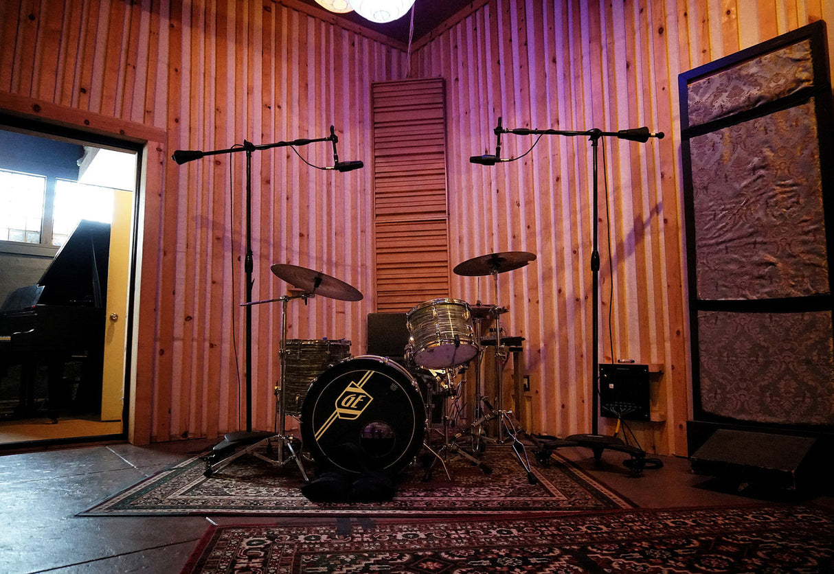 sE Electronics Micrófono de estudio X1S de condensador