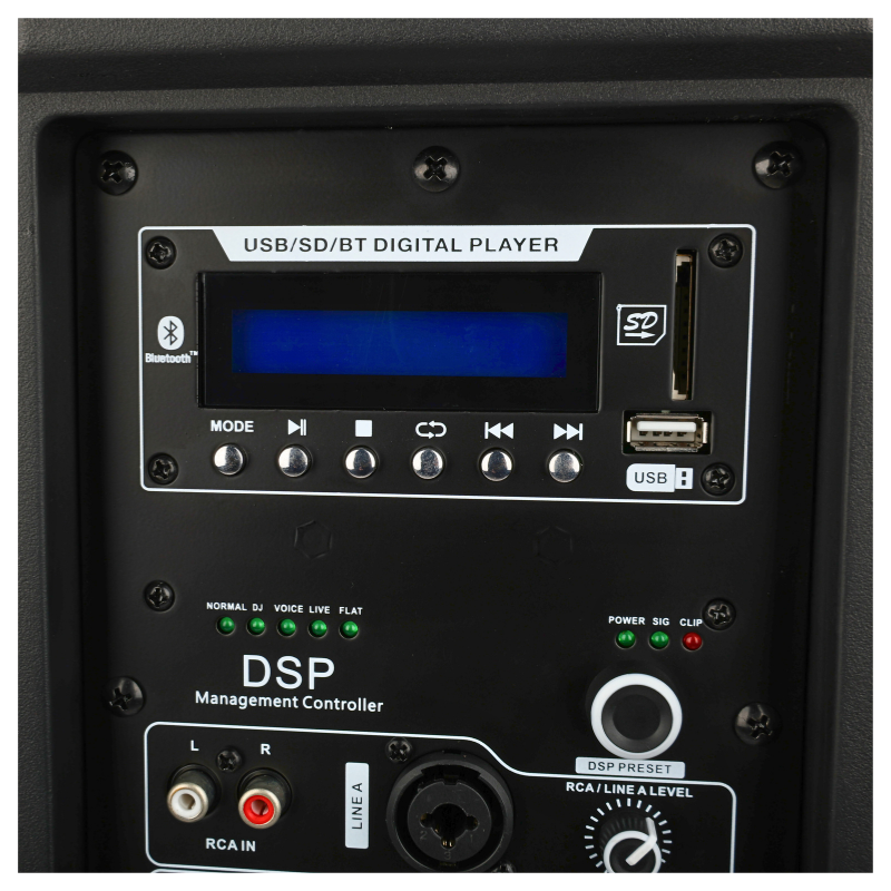 DNA SPX10 DSP recinto de altavoz activo de 10" 250 W