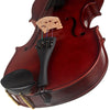 Cuerdas de violín