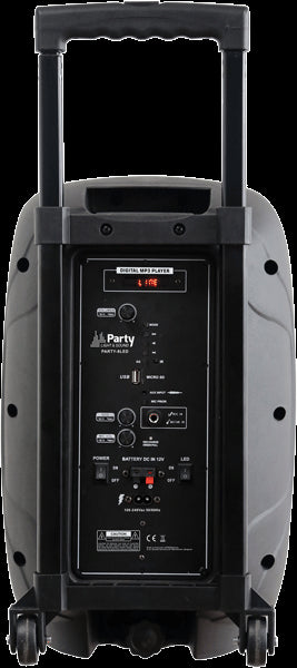 Ibiza Party8LED Festival Speaker (300W)