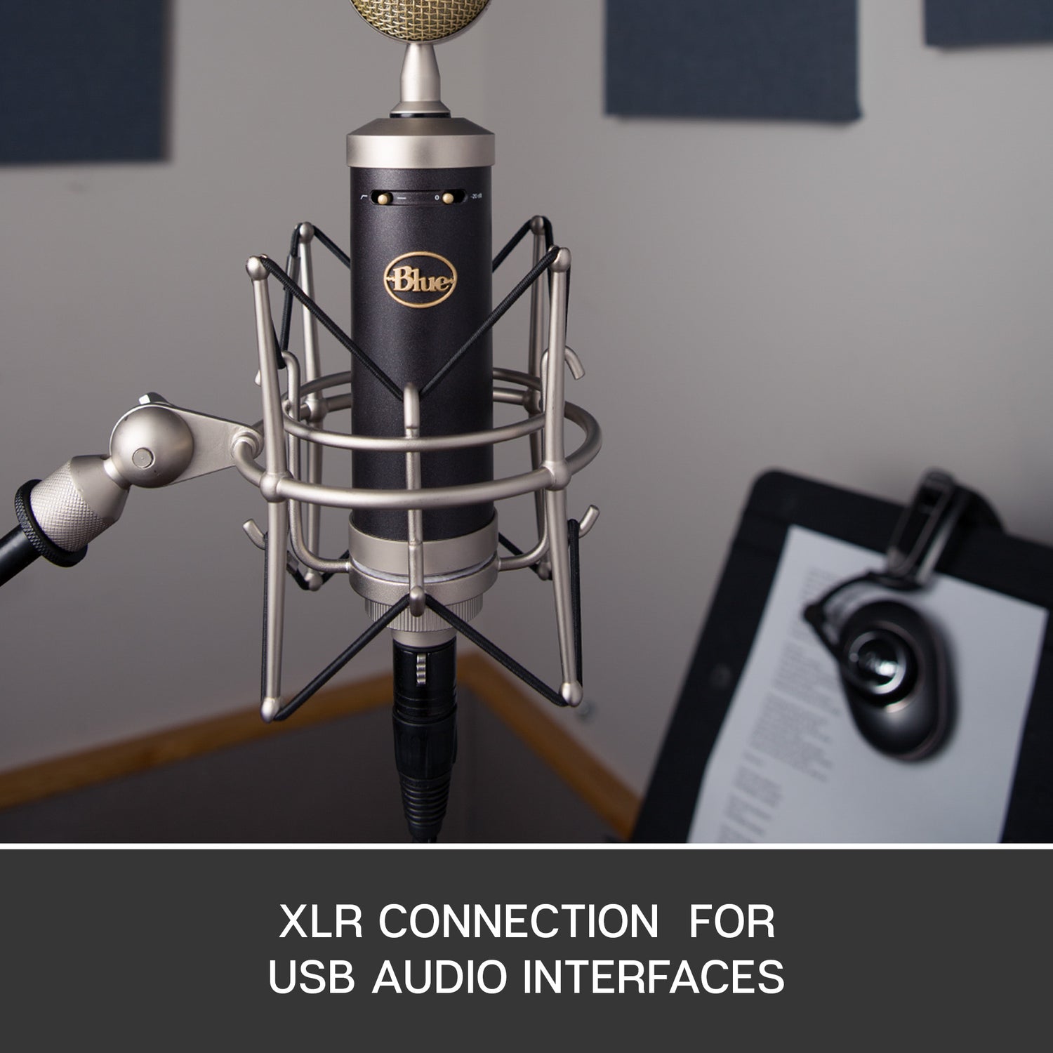 Blue Baby Bottle SL Condenser Microphone