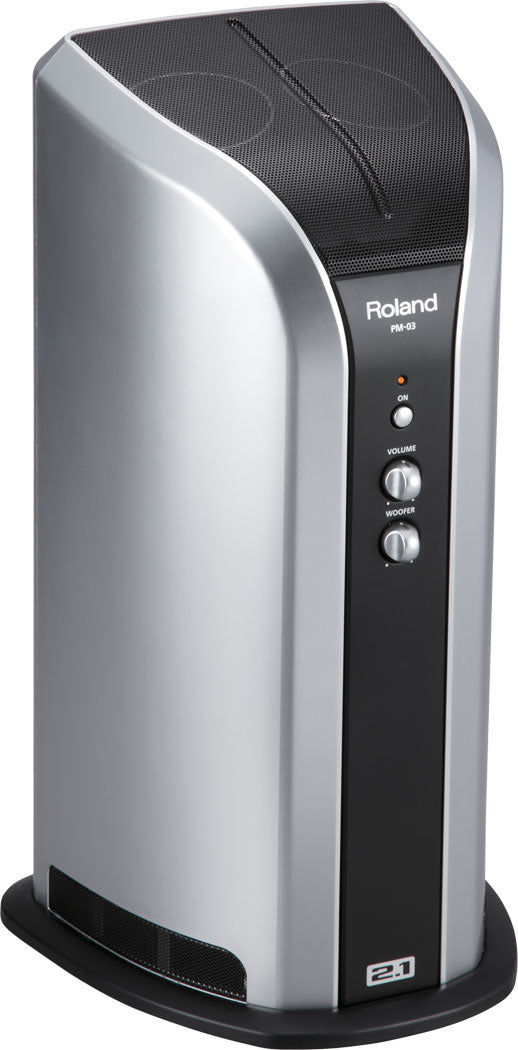 Roland PM-03 Monitor