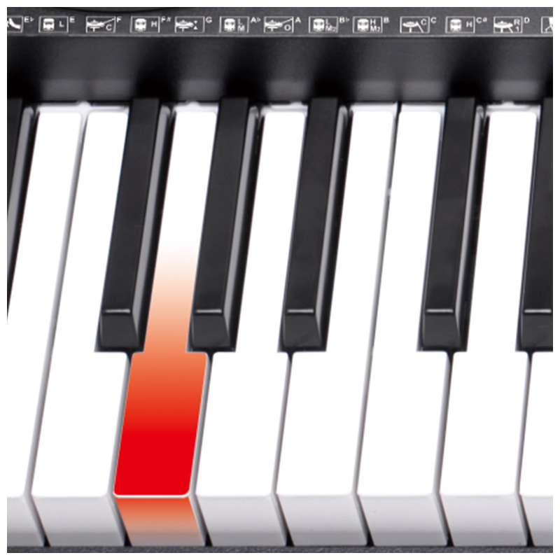 V-TONE VK-500 61L teclados – 61 teclas con función de aprendizaje LED para niños y principiantes
