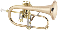 Fliscorno