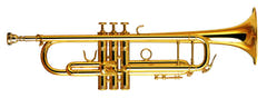 Instrumentos de Viento