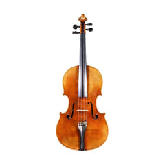 Viola (viola)