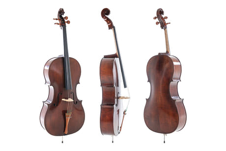 Violonchelo de concierto GEWA Meister Rubner 4/4, rojo oscuro, de Alemania