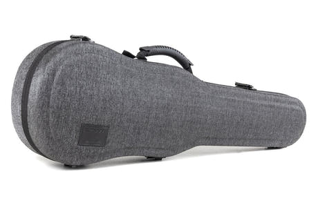GEWA Violines Maestro 2 - 4/4 (Listo para tocar, incluye estuche de violín moldeado GEWA Bio, arco GEWA Baron y cuerdas Il Cannone)