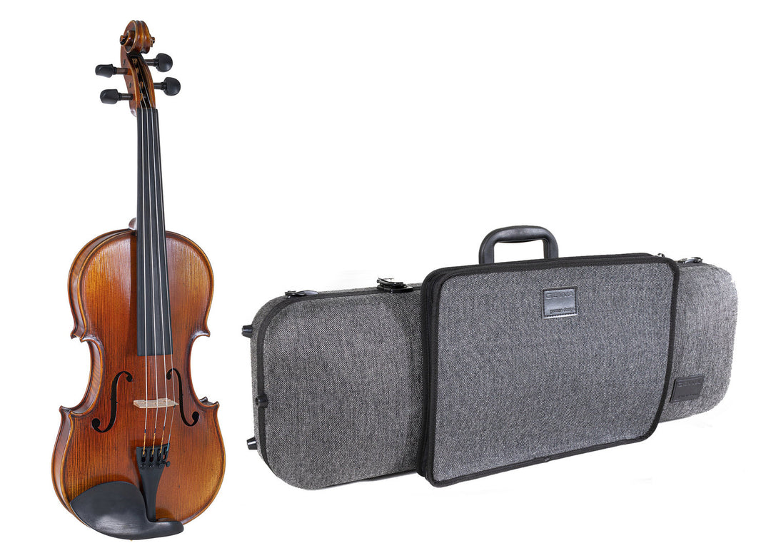 GEWA Violin Maestro 2 - 4/4 (Listo para tocar, incluye estuche de Violines GEWA Bio, sin arco, con cuerdas Il Cannone)