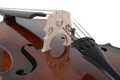 Contrabajo GEWA Double bass Basic Line Solid Version - 4/4 (Configurado en los talleres maestros de GEWA)