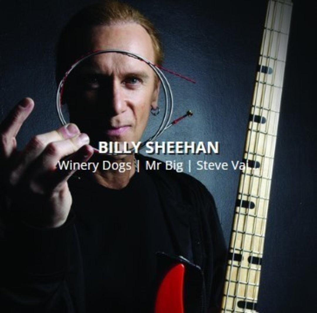 Rotosound Cuerdas de bajo eléctrico Swing Bass 66 - set 4-string Billy Sheehan Custom 43-110 (BS66)