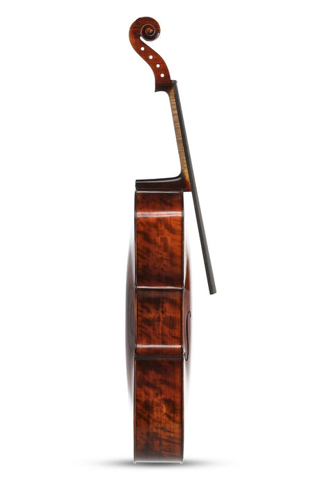 GEWA Georg Walther violonchelo de concierto 4/4, álamo, sin montar