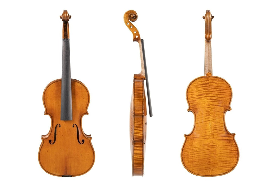 GEWA Violines Germania - Modelo 4/4 Berlin - Lefthand (Set up)