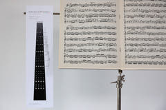 Tablas de digitación Savigny Violines