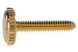 Wittner tornillo de repuesto para cordal, dorado, violines y viola