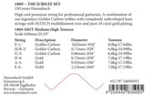 Hannabach Strings for classic guitar Serie 1869 Carbon/Gold MHT - E6 Gold MHT (18696MHT)