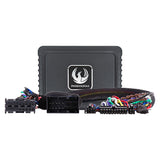 Kit de amplificador DSP Phoenix Gold para BMW 2005-2019 con RAM (ZXMPFCA1)