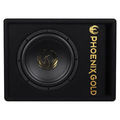 Subwoofer activo Phoenix Gold de 10" con cables y remote