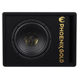 Subwoofer activo Phoenix Gold de 10" con cables y remote