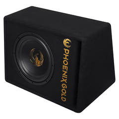 Subwoofer activo Phoenix Gold de 10" con cables y remote