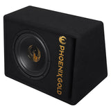 Subwoofer activo Phoenix Gold de 10" con cables y remote