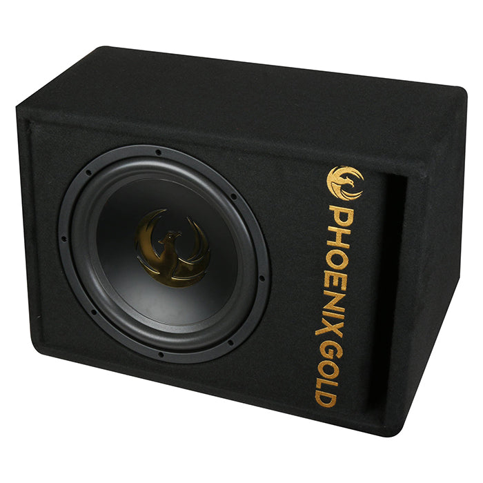 Subwoofer activo Phoenix Gold de 12" con cables y remote
