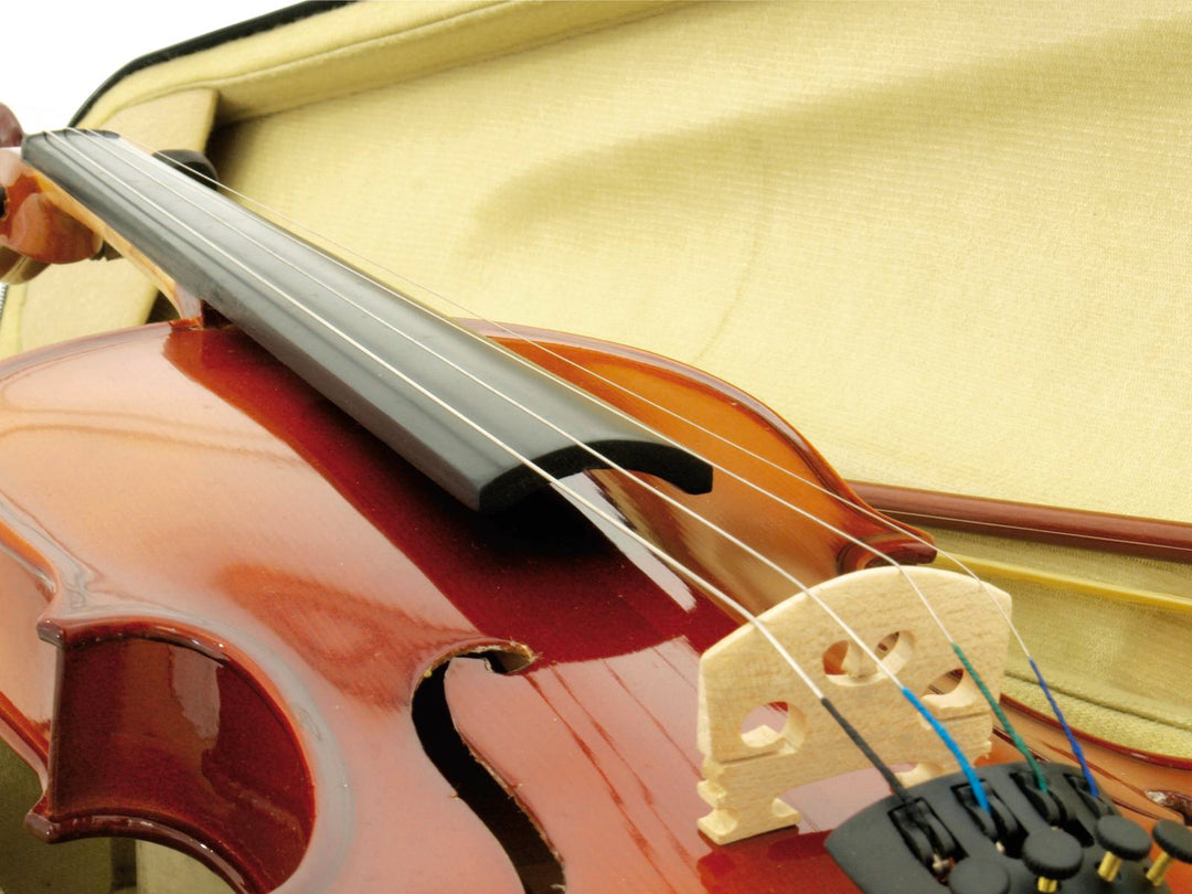 DiMavery Violín 4/4 con Arco y Estuche