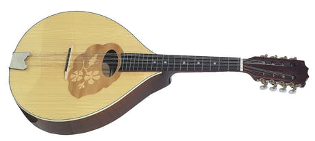 GEWA Mandola Pro Arte - High brillo