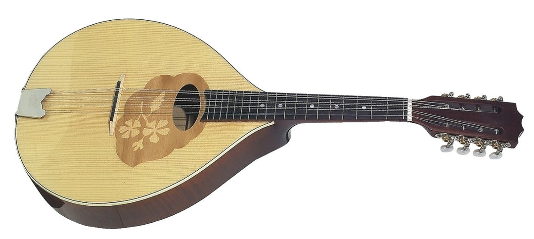 GEWA Mandola Pro Arte - High brillo