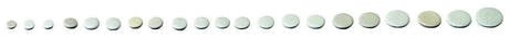GEWA set completo de almohadillas para clarinete en Bb, sistema alemán, cuero blanco
