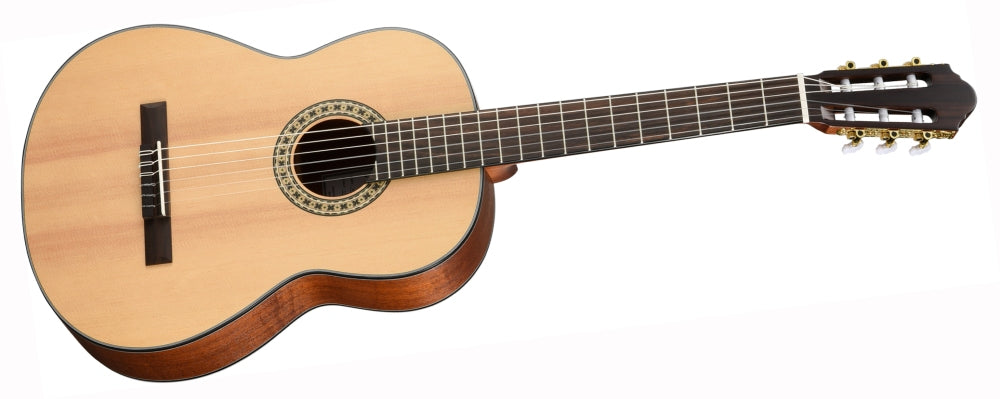 Walden N550EW Guitar (Natural)