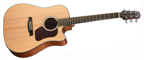 Walden D550CEW Guitarras Western (Natural)