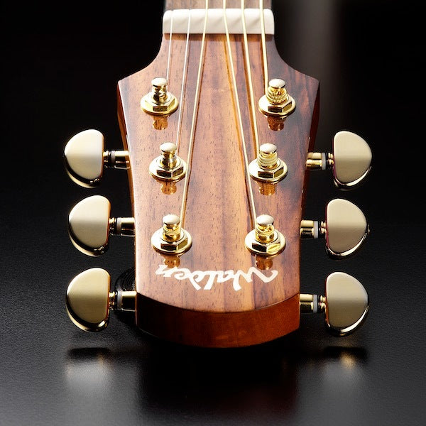 Walden D600CEW Guitarras Western (Natural)