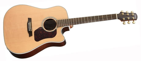 Walden D600CEW Guitarras Western (Natural)