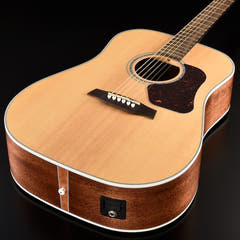 Walden D740EW Guitarras Western (Natural)