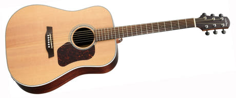 Walden D800EW Guitarras Western (Natural)