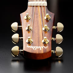 Walden G630CEW Guitarras Western (Natural)