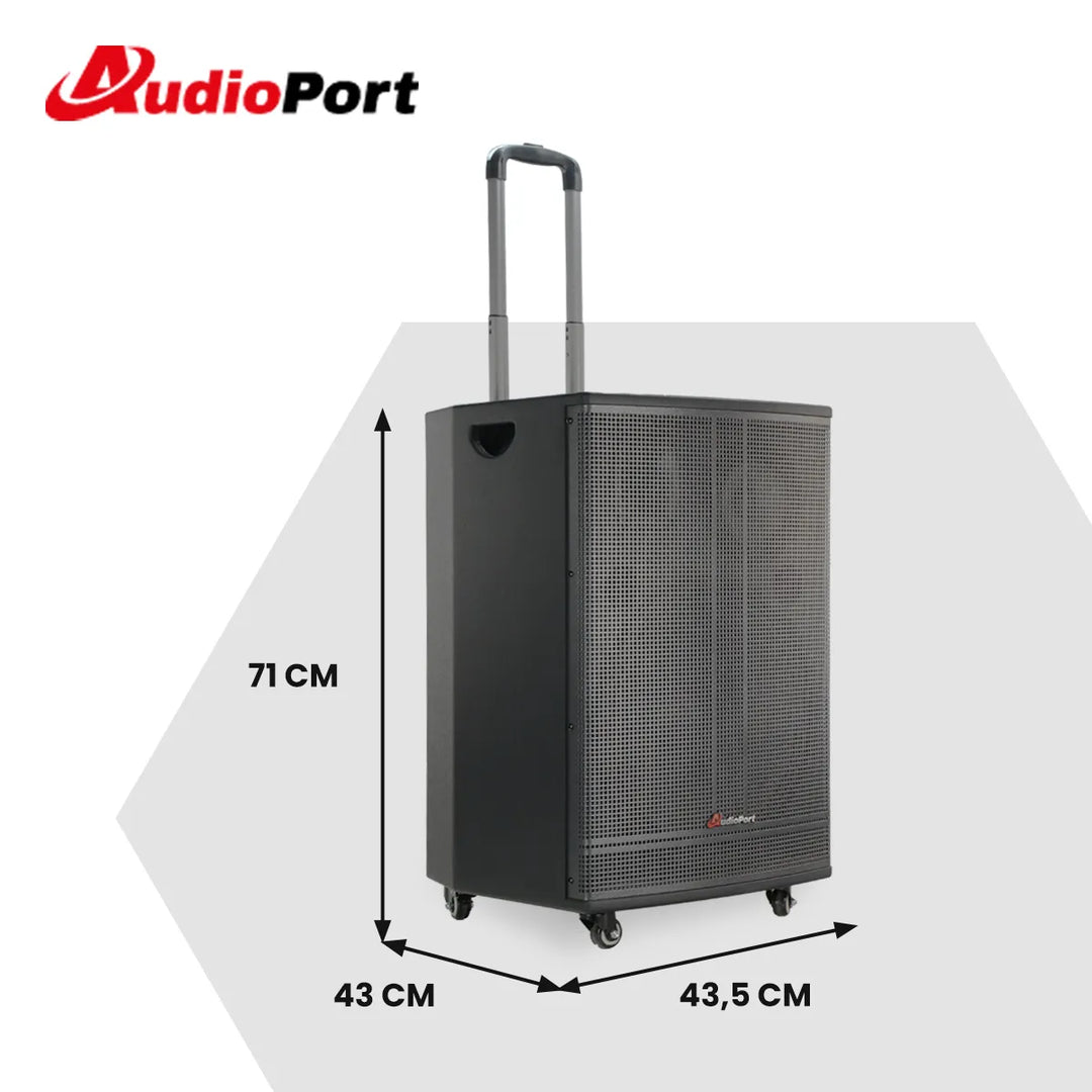 Audioport V15 altavoz activo portátil de 500 W con 2 micrófonos