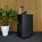 Audioport V15 altavoz activo portátil de 500 W con 2 micrófonos