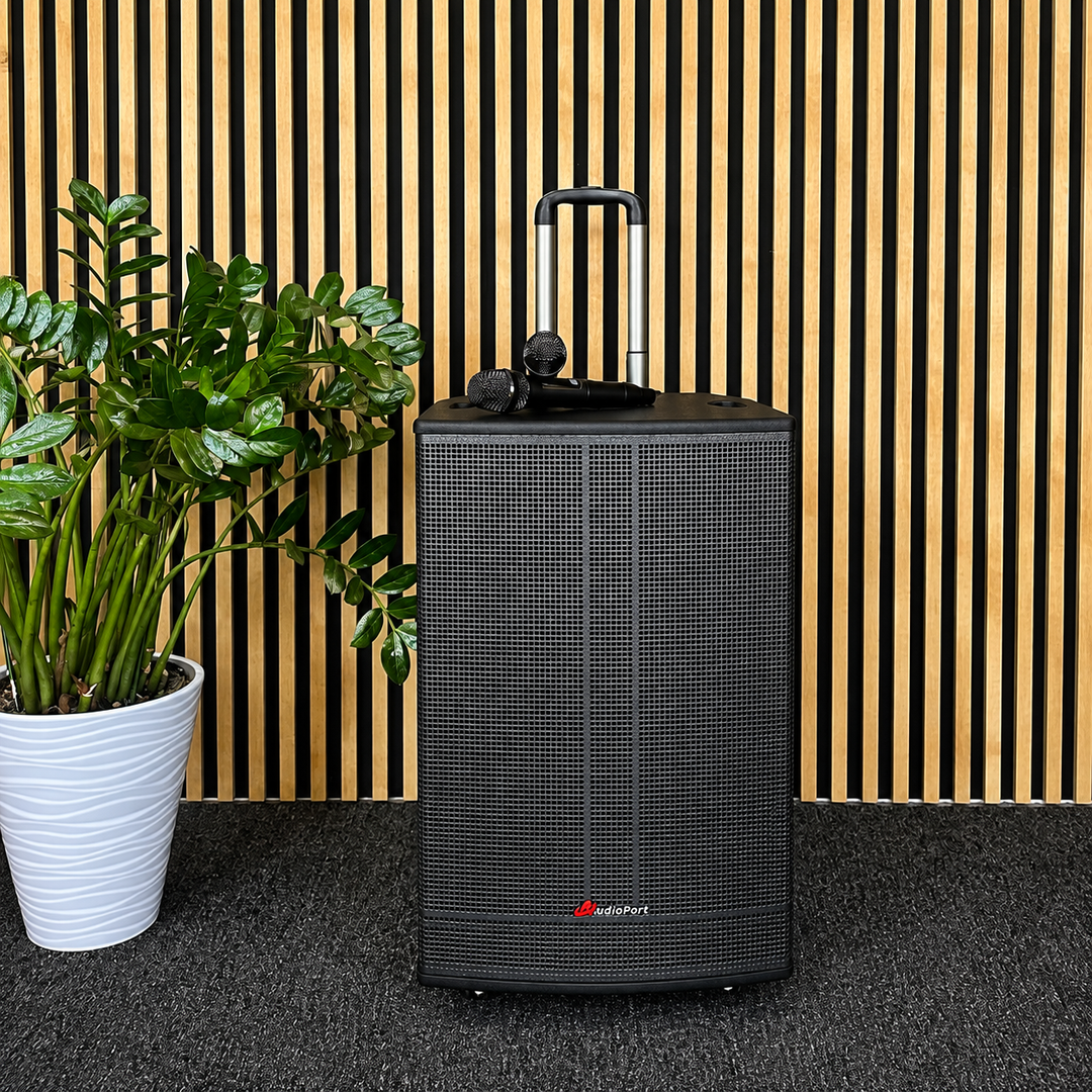 Audioport V15 altavoz activo portátil de 500 W con 2 micrófonos